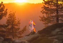 Corgi has secured the coveted status of unicorn after raising $160m in Series B funding at a $1.3bn valuation.