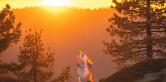 Corgi has secured the coveted status of unicorn after raising $160m in Series B funding at a $1.3bn valuation.