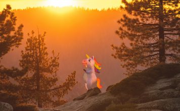 Corgi has secured the coveted status of unicorn after raising $160m in Series B funding at a $1.3bn valuation.