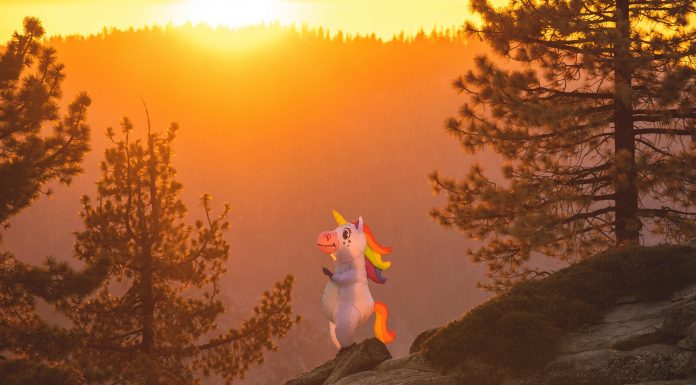 Corgi has secured the coveted status of unicorn after raising $160m in Series B funding at a $1.3bn valuation.