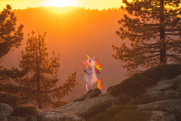 Corgi has secured the coveted status of unicorn after raising $160m in Series B funding at a $1.3bn valuation.