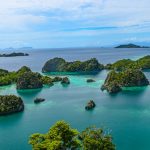 TransFi launches BizPay for ASEAN cross-border pay
