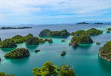 TransFi launches BizPay for ASEAN cross-border pay