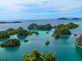 TransFi launches BizPay for ASEAN cross-border pay TransFi launches BizPay for ASEAN cross-border pay