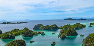 TransFi launches BizPay for ASEAN cross-border pay