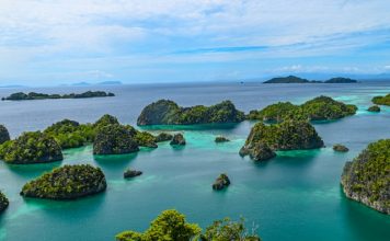 TransFi launches BizPay for ASEAN cross-border pay