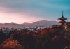 Zeidler expands AI compliance tool to cover Japan