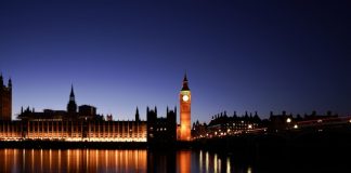 Burns & Wilcox Global Solutions goes live on Novidea platform