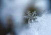 Aiviq launches AI-powered app on Snowflake Marketplace Aiviq launches AI-powered app on Snowflake Marketplace
