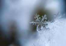Aiviq launches AI-powered app on Snowflake Marketplace Aiviq launches AI-powered app on Snowflake Marketplace