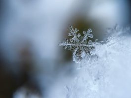 Aiviq launches AI-powered app on Snowflake Marketplace