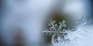 Aiviq launches AI-powered app on Snowflake Marketplace