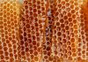 Honeycomb secures $40m to expand real estate insurance