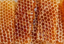 Honeycomb secures $40m to expand real estate insurance
