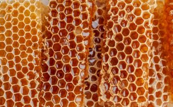 Honeycomb secures $40m to expand real estate insurance