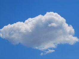 Guidewire Cloud to power Peel Mutual’s AI strategy