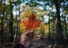 Portage Mutual picks Akur8 for AI pricing overhaul Portage Mutual picks Akur8 for AI pricing overhaul