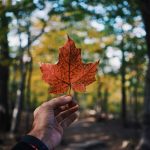 Portage Mutual picks Akur8 for AI pricing overhaul