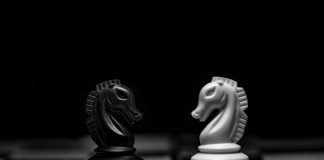 Are wealth managers finally embracing digital assets?