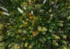 UK moves to simplify climate risk reporting for investors climate