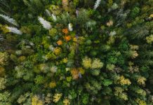 UK moves to simplify climate risk reporting for investors climate