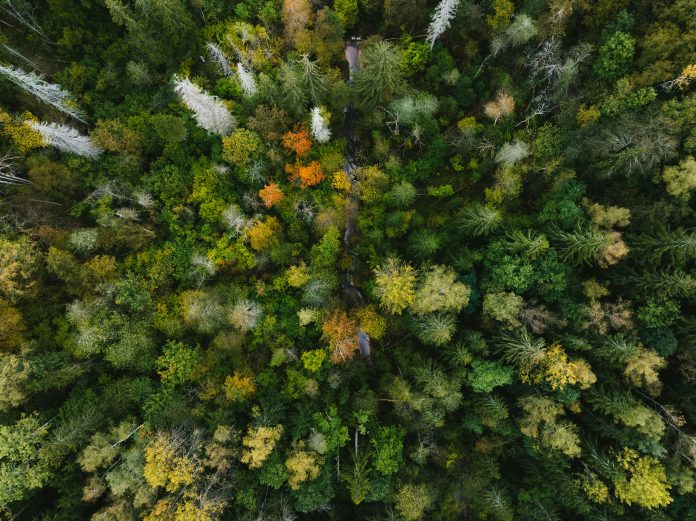kristaps-ungurs-owcJsiIK7UU-unsplash climate