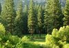 How Ortec Finance helped PKZH measure ESG impact How Ortec Finance helped PKZH measure ESG impact