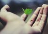 Alan raises €480m to expand prevention insurance globally