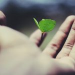 Alan raises €480m to expand prevention insurance globally
