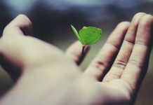 Alan raises €480m to expand prevention insurance globally
