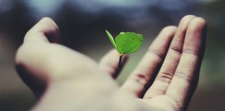 Alan raises €480m to expand prevention insurance globally