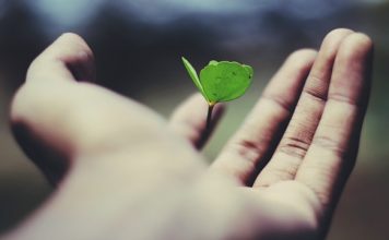 Alan raises €480m to expand prevention insurance globally