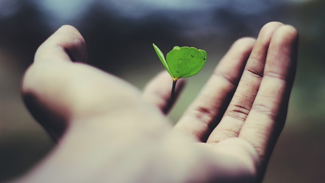 Alan raises €480m to expand prevention insurance globally