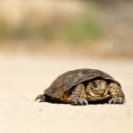 Why legacy surveillance tools are failing compliance teams