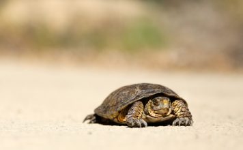Why legacy surveillance tools are failing compliance teams