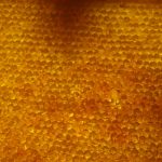 Digital insurer Honeycomb Insurance has raised an additional $40m in funding as it looks to expand its geographical footprint, enhance its underwriting technology and broaden its product offering.