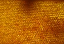 Honeycomb Insurance raises $40m in Zeev Ventures-led round Digital insurer Honeycomb Insurance has raised an additional $40m in funding as it looks to expand its geographical footprint, enhance its underwriting technology and broaden its product offering.