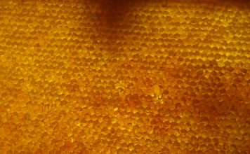 Digital insurer Honeycomb Insurance has raised an additional $40m in funding as it looks to expand its geographical footprint, enhance its underwriting technology and broaden its product offering.