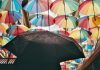 INSTANDA has launched an artificial intelligence-supported underwriting and operations platform aimed at helping insurers manage complex cases that require human judgement rather than full automation.