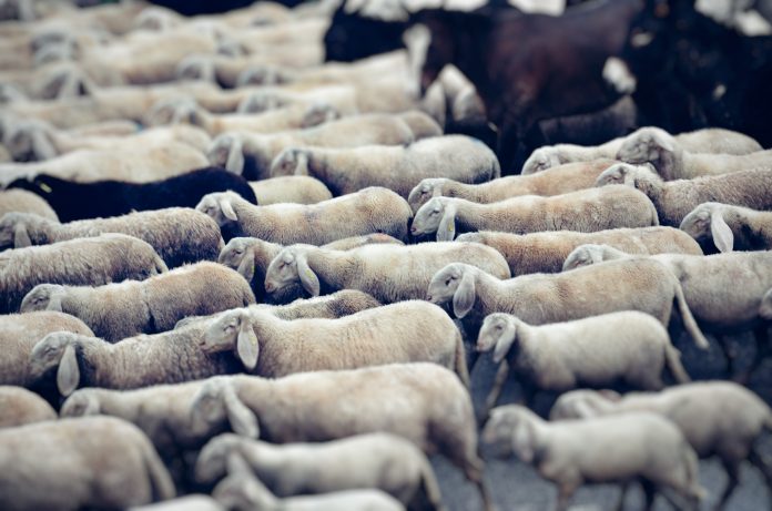 Admiral Group has completed its acquisition of connected fleet insurance provider Flock, bringing the InsurTech's AI-powered telematics platform into the insurer's commercial motor business.