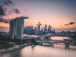 Apis Partners backs BIPO with $50m growth investment