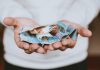 Aperture leads $300m asset-based facility with Avant