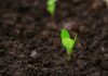 InSoil lands €120m Pollen Street facility for agri lending InSoil lands €120m Pollen Street facility for agri lending