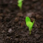 InSoil lands €120m Pollen Street facility for agri lending