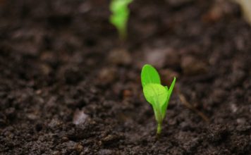 InSoil lands €120m Pollen Street facility for agri lending