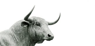 etoro scraps fees on Stocks & Shares ISA, boosts Cash ISA