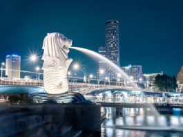 CPF lifecycle funds: the analytics gap that could sink bids CPF lifecycle funds: the analytics gap that could sink bids