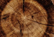 WoodStar launches with $220m capital for Accelerant exchange WoodStar launches with $220m capital for Accelerant exchange