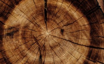 WoodStar launches with $220m capital for Accelerant exchange WoodStar launches with $220m capital for Accelerant exchange