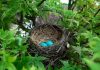 Monzo and Nest centre target self-employed pension gap Monzo and Nest Pensions centre target self-employed pension gap